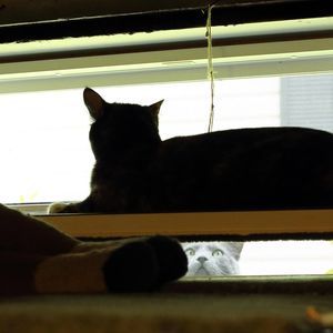 Meet your Posher, Julie